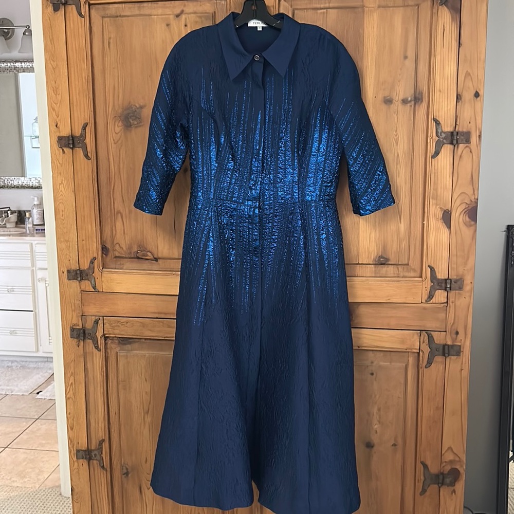 Beautiful Teri Jon by Rickie Freeman cocktail dress.